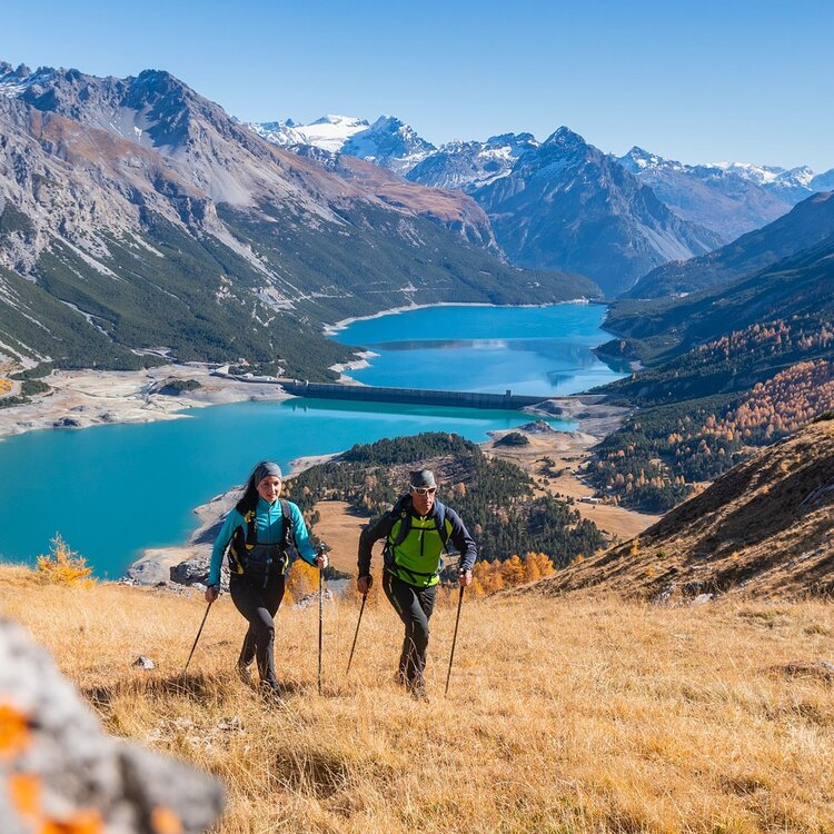 Autumn Foliage Cancano Lakes 809250321