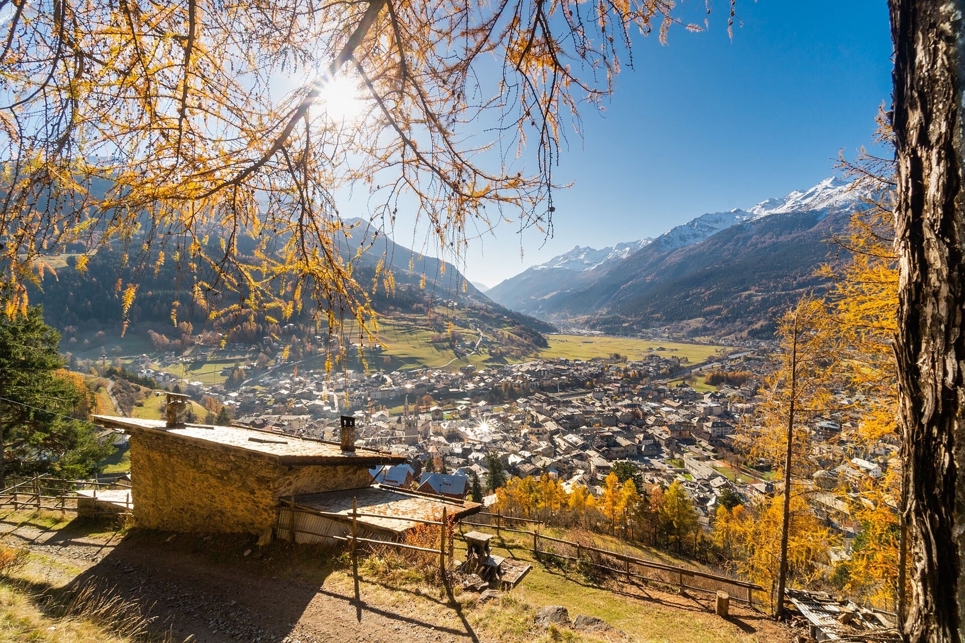 Img2 621283755 Default Variant