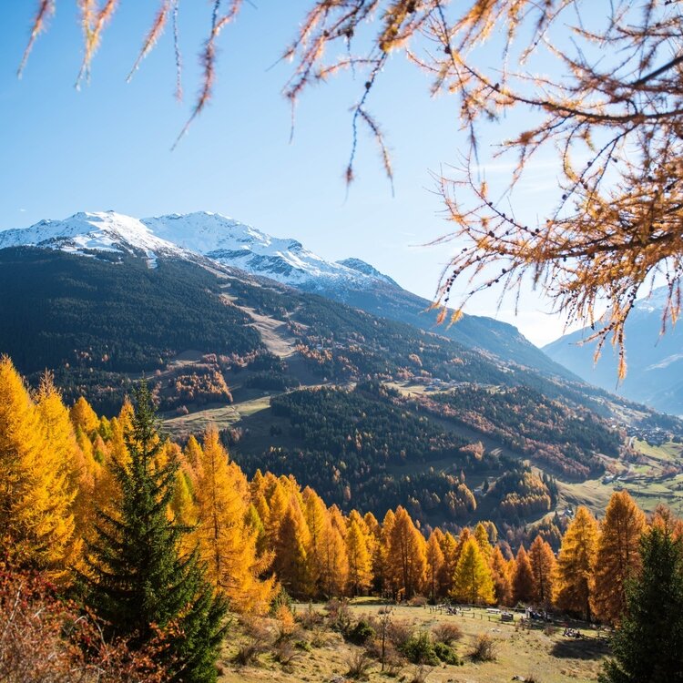 Foliage autunnale: Pedemontana