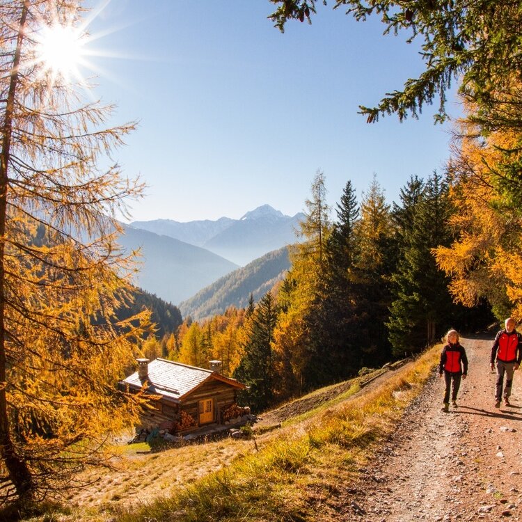Foliage autunnale: Val Zebrù