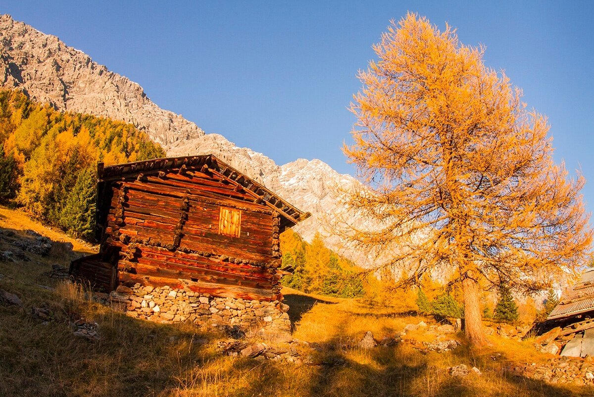 Img2 621280560 Default Variant