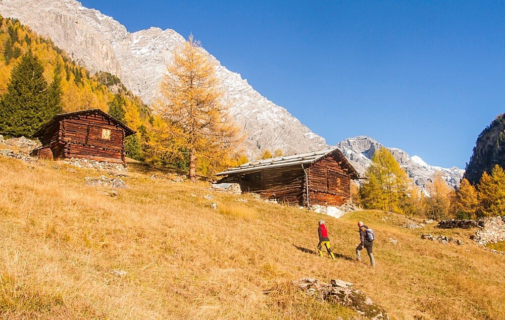 Img2 621280561 Default Variant