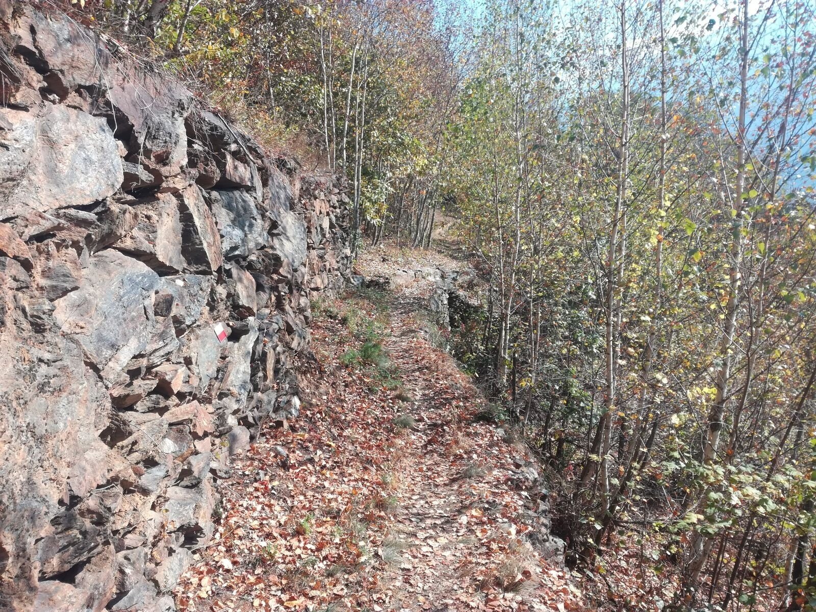 Img2 96364023 Default Variant