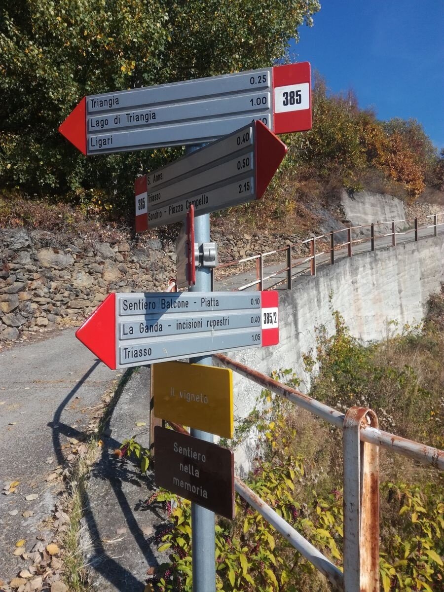 Img2 96364025 Default Variant