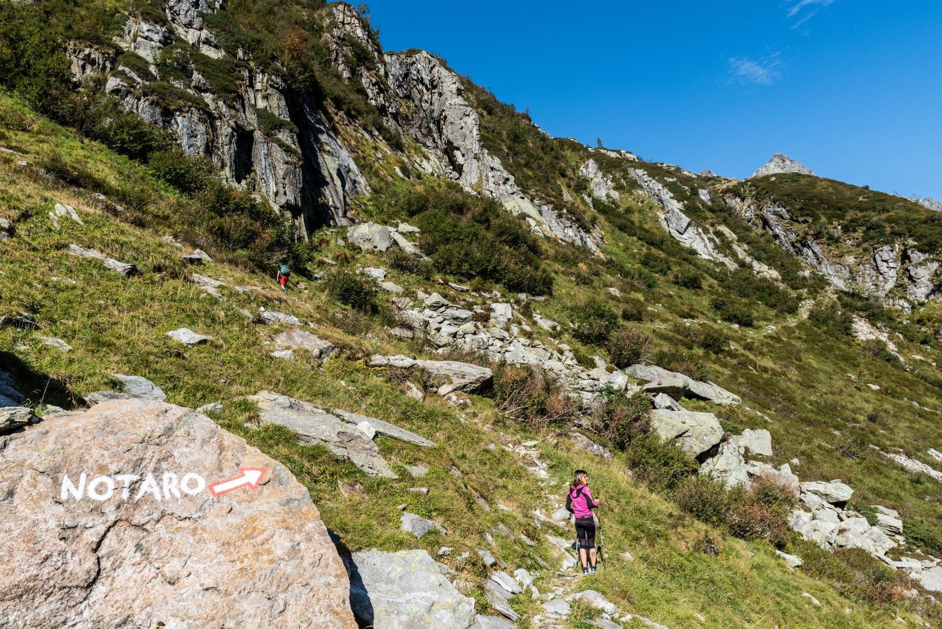 Img2 606309269 Default Variant