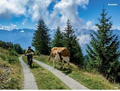 Boirolo (Tresivio), Alpe Rogneda, Bocchetta Mara (MTB-EMTB)