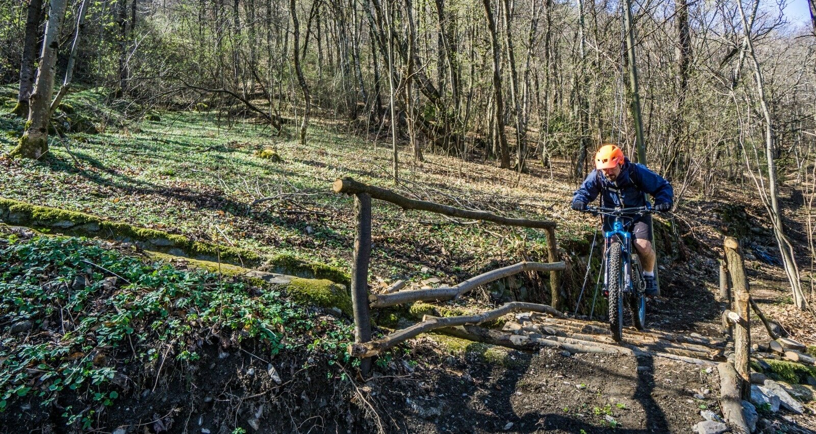 Img2 96364010 Default Variant