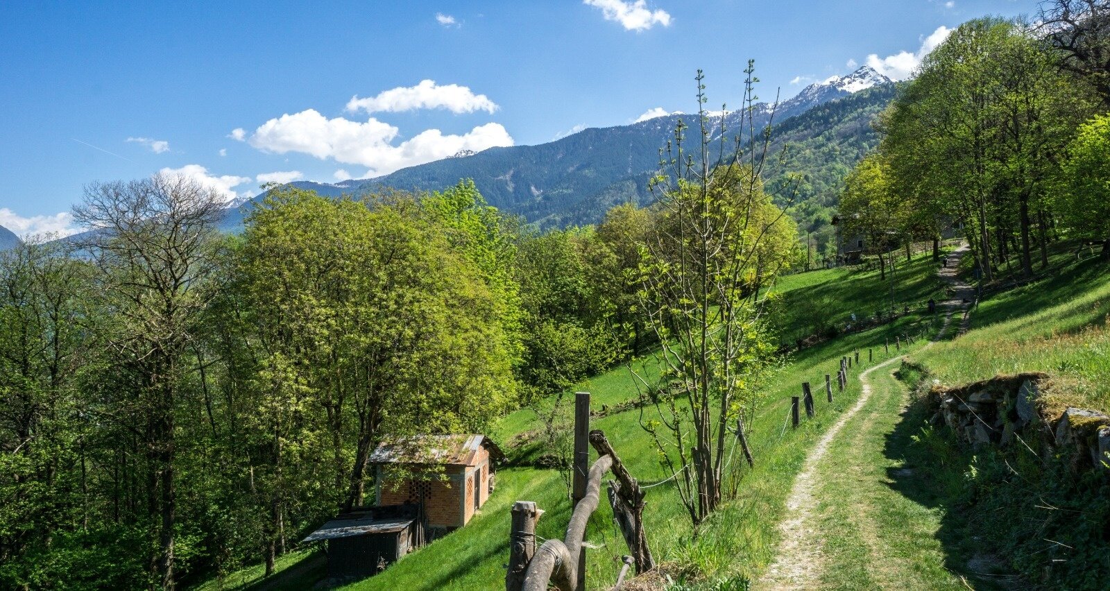 Img2 96364011 Default Variant