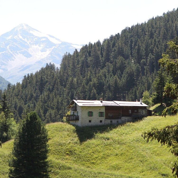 Bormio 2000 da SantAntonio di Valfurva