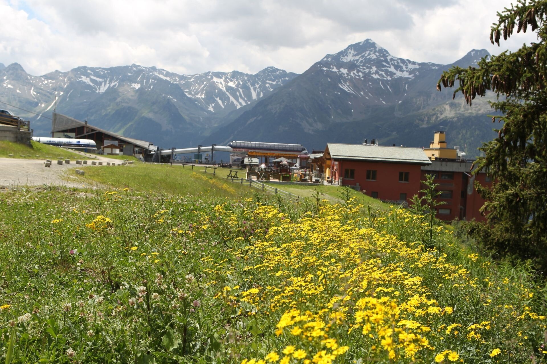 Bormio 2000