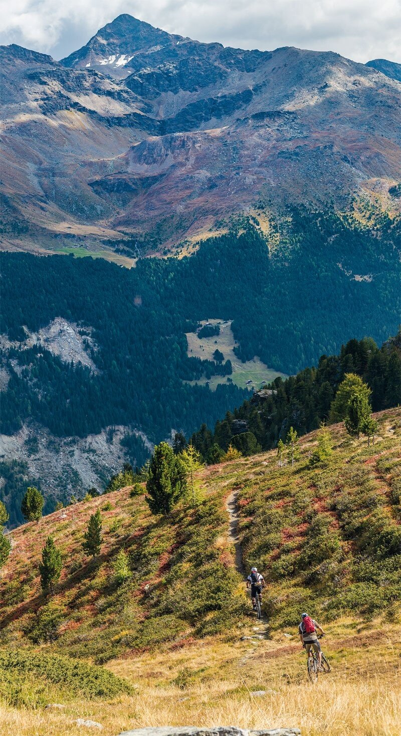 Il Pizzo Tresero incombe sul single trail.