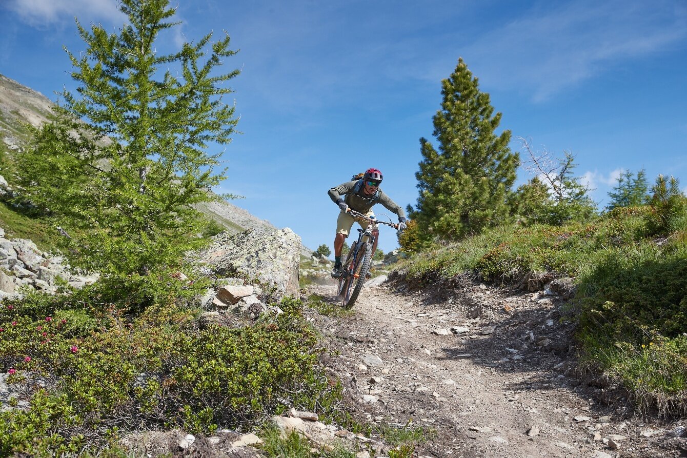 Img2 95595829 Default Variant