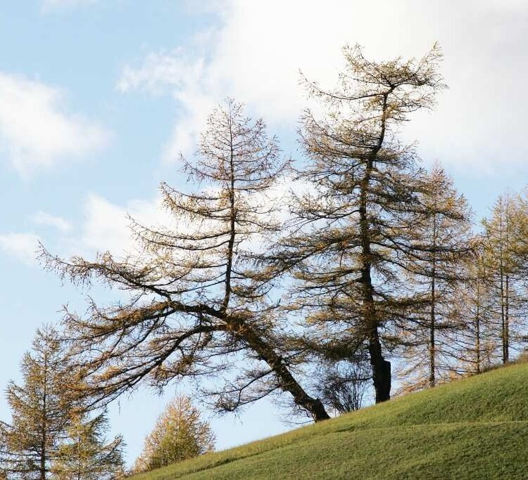 Bormio 360 Mountain Bike - Tappa 10 - Sentiero dei Maghet