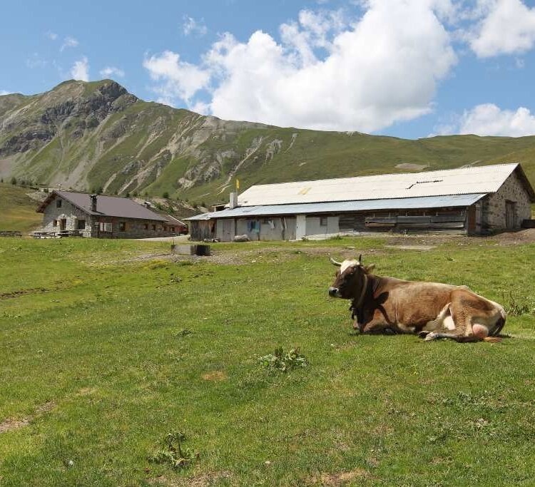 Bormio 360 Mountain Bike - Stage 4 - Mountain Huts Path