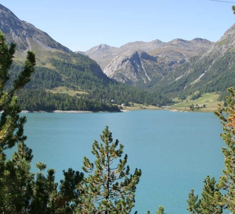 Bormio 360 Mountain biking - Stage 1 - Water Trail