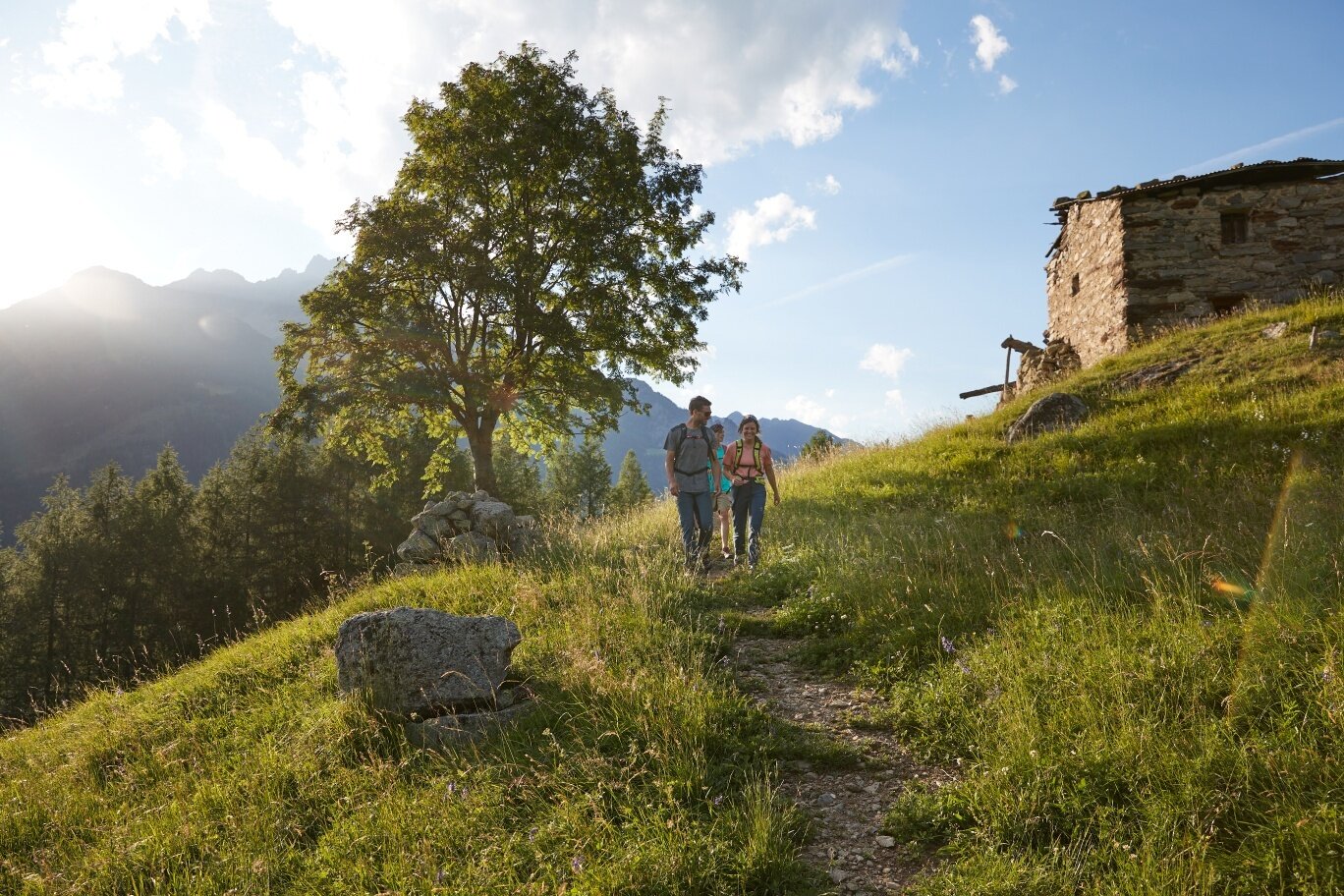 Img2 97968056 Default Variant