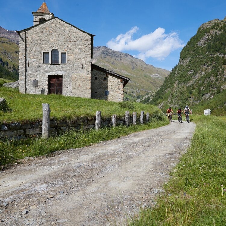 Bormio 360 - Rhododendron Trail