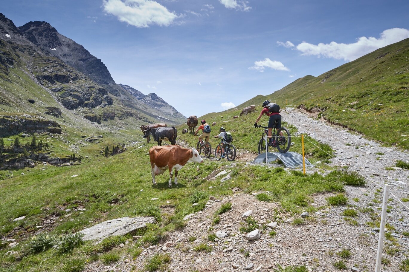 Bormio 360 - Rhododendron Trail