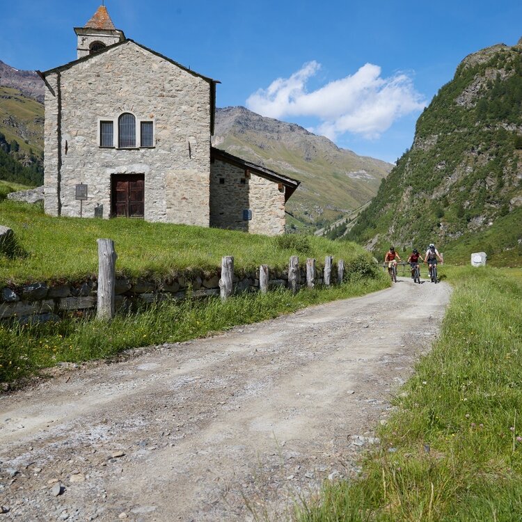 Bormio 360 - Rhododendron trail