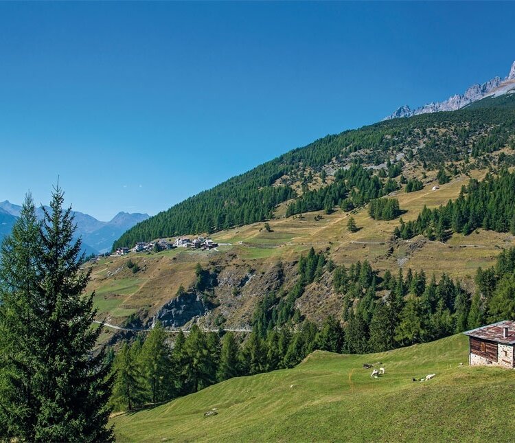 Bormio Pedemontana Of The Reit 804596794