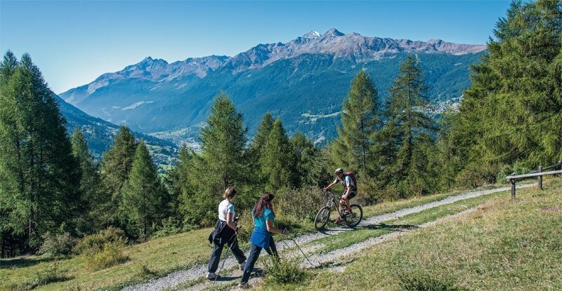 Img2 96363584 Default Variant