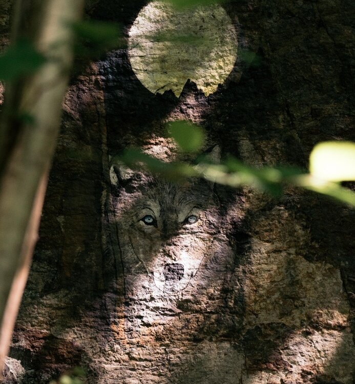 One of the murals on the "Bosco Co vivo" trail in Dazio