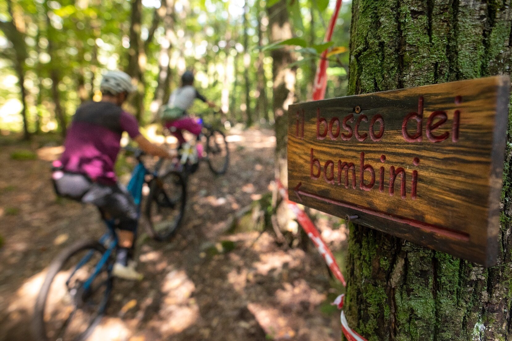 Img2 621615693 Default Variant