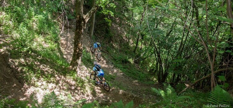 Caio Trial n. B351