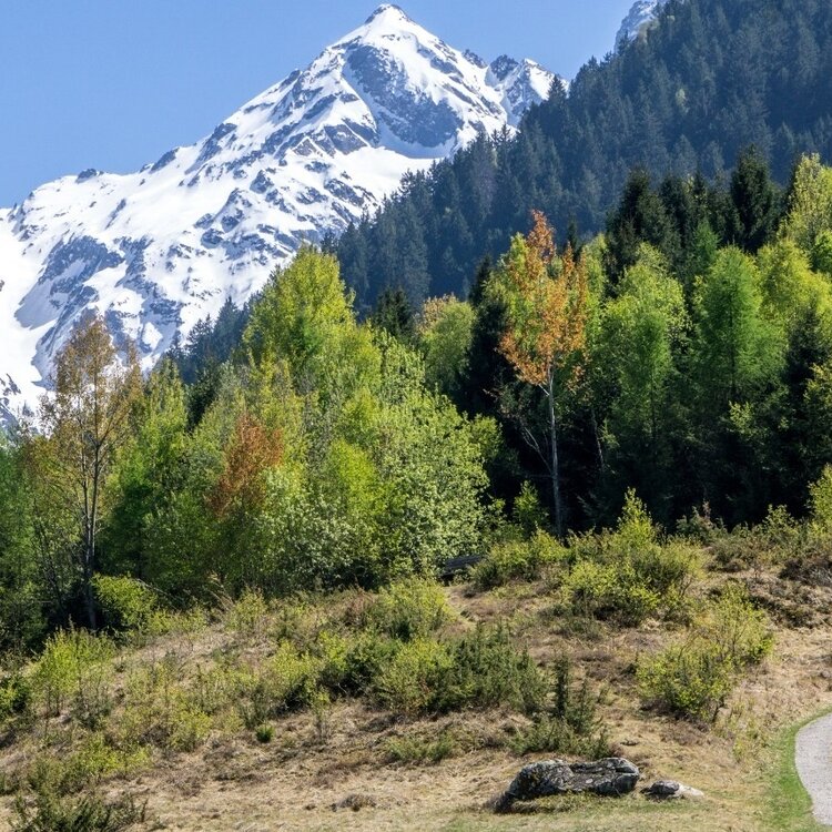 Campisc  itinerario MTB numero 3