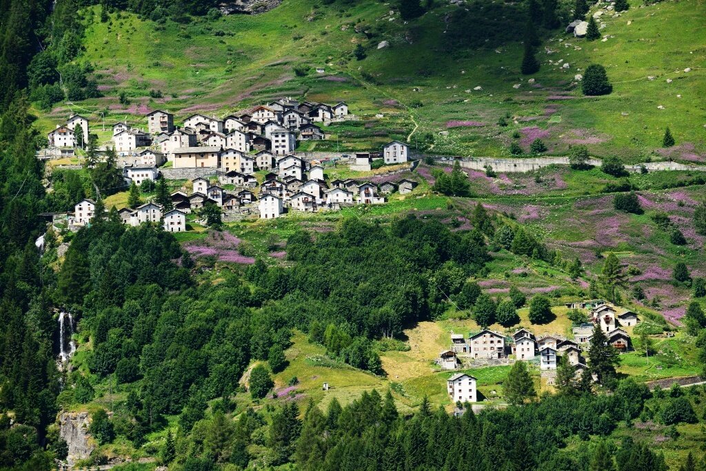 Starleggia