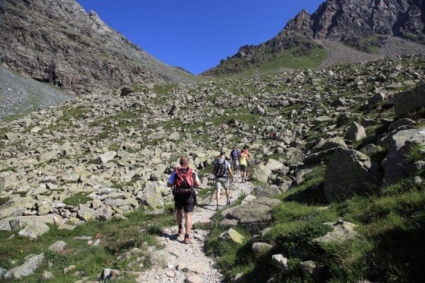 Img2 96364108 Default Variant