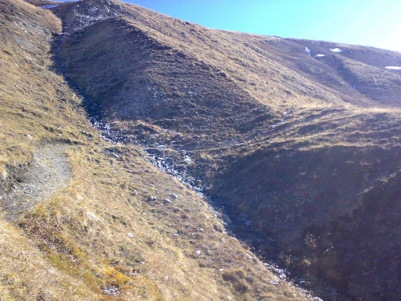 I pascoli di alta montagna a Livigno