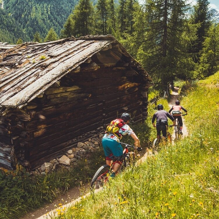 Sentiero delle Tee / Panoramica, Carosello 3000