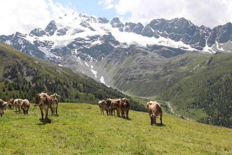 The pastures and alpine huts in Alta Valtellina