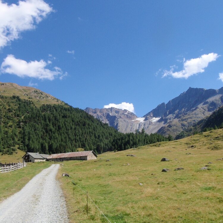Cheseira dal Vach