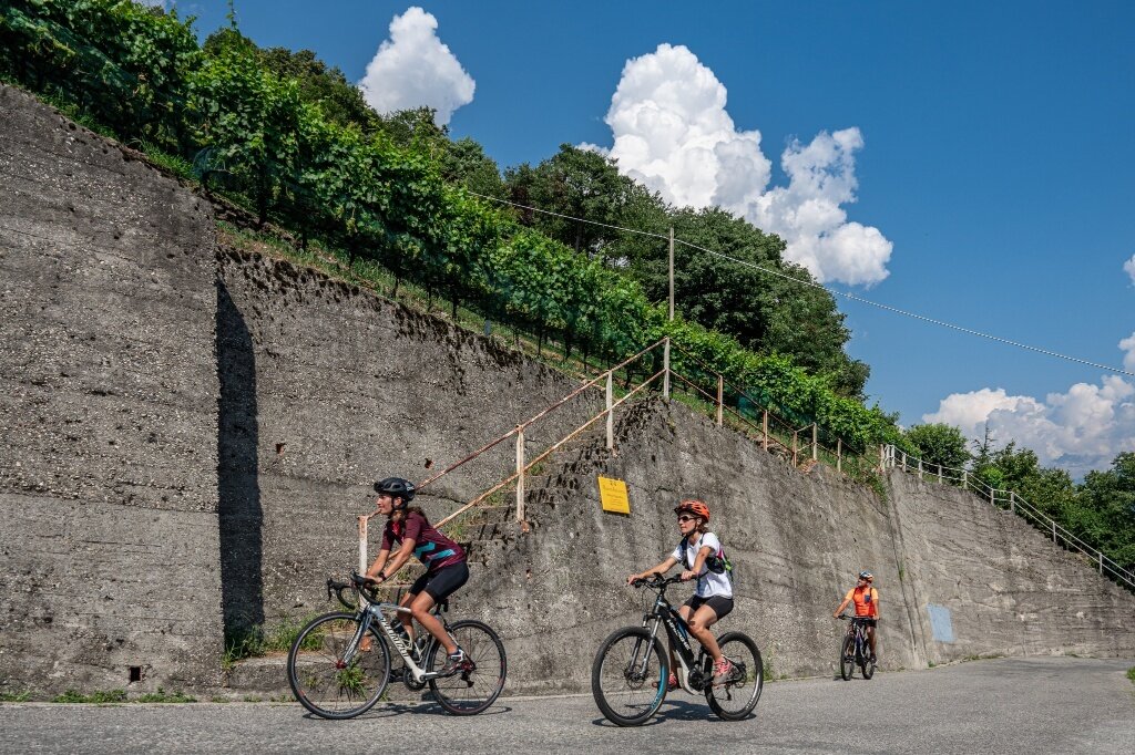 Img2 627608835 Default Variant