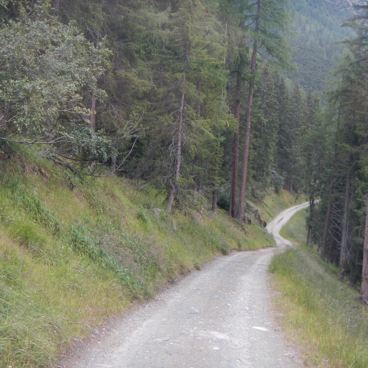 Chiesa, Lago di Chiesa, Rifugio Bosio, Alpe Pirlo (MTB-EMTB)