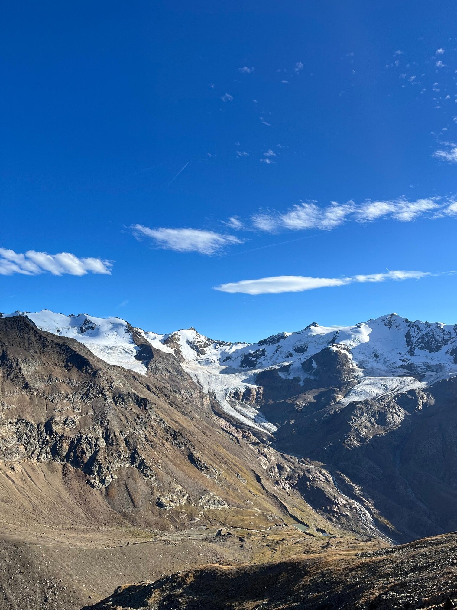 Img2 621447629 Default Variant