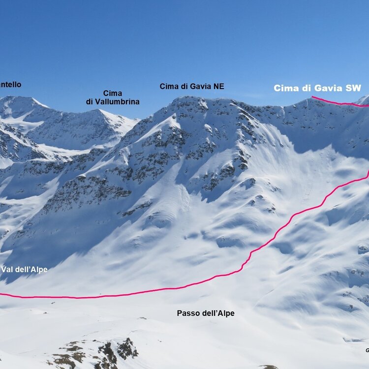 Cima Di Gavia Sud Ovest 804595767