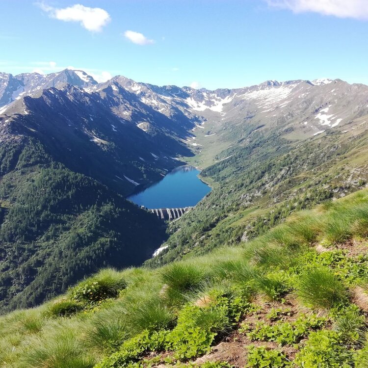 Cima Meriggio