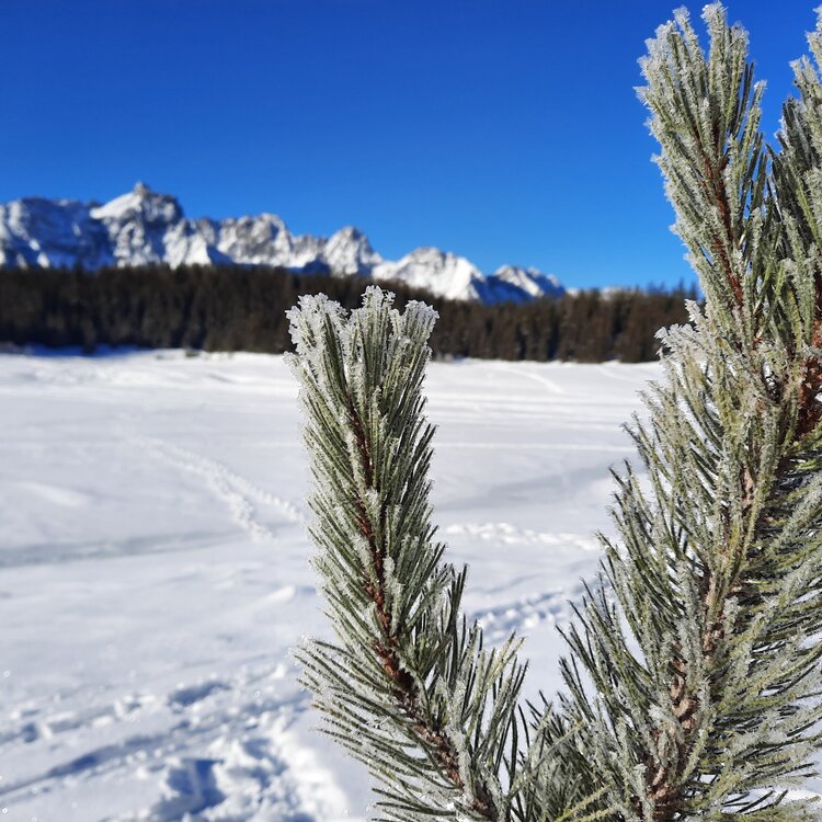 Cima Motta da San Giuseppe