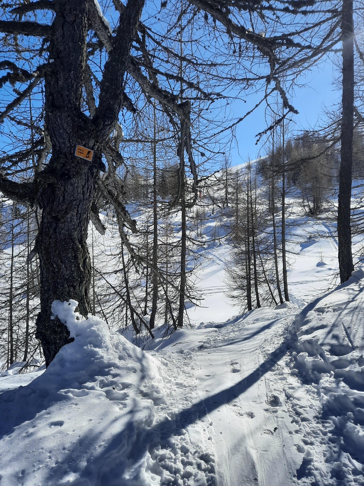 Img2 622237499 Default Variant