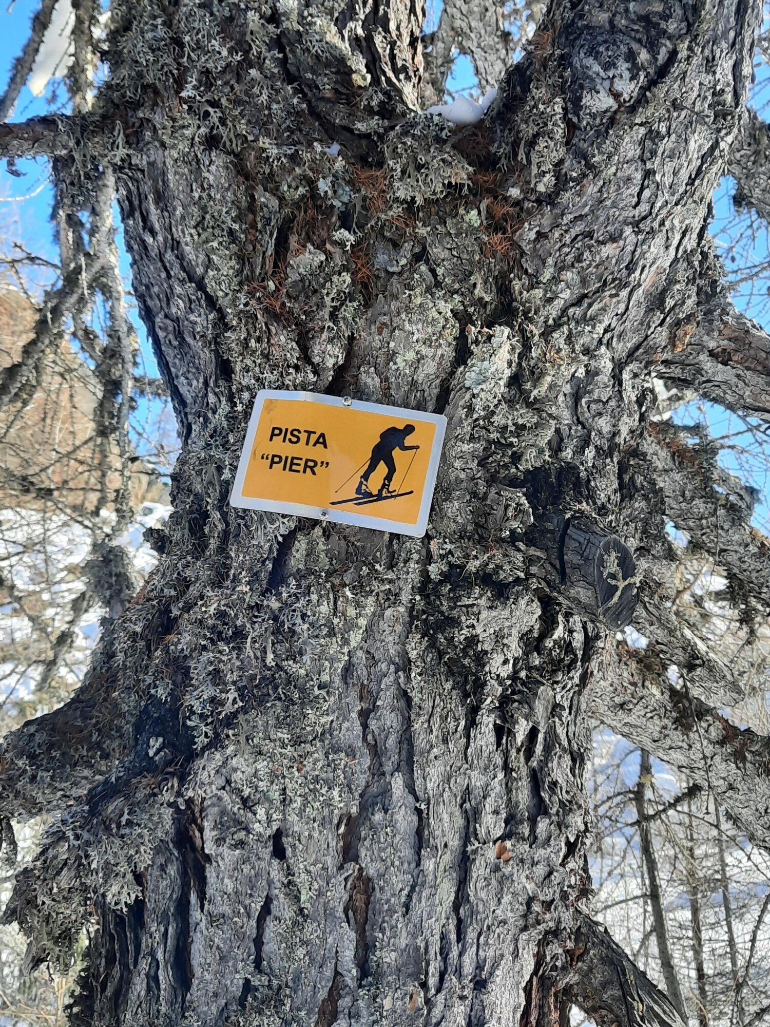 Img2 622237500 Default Variant