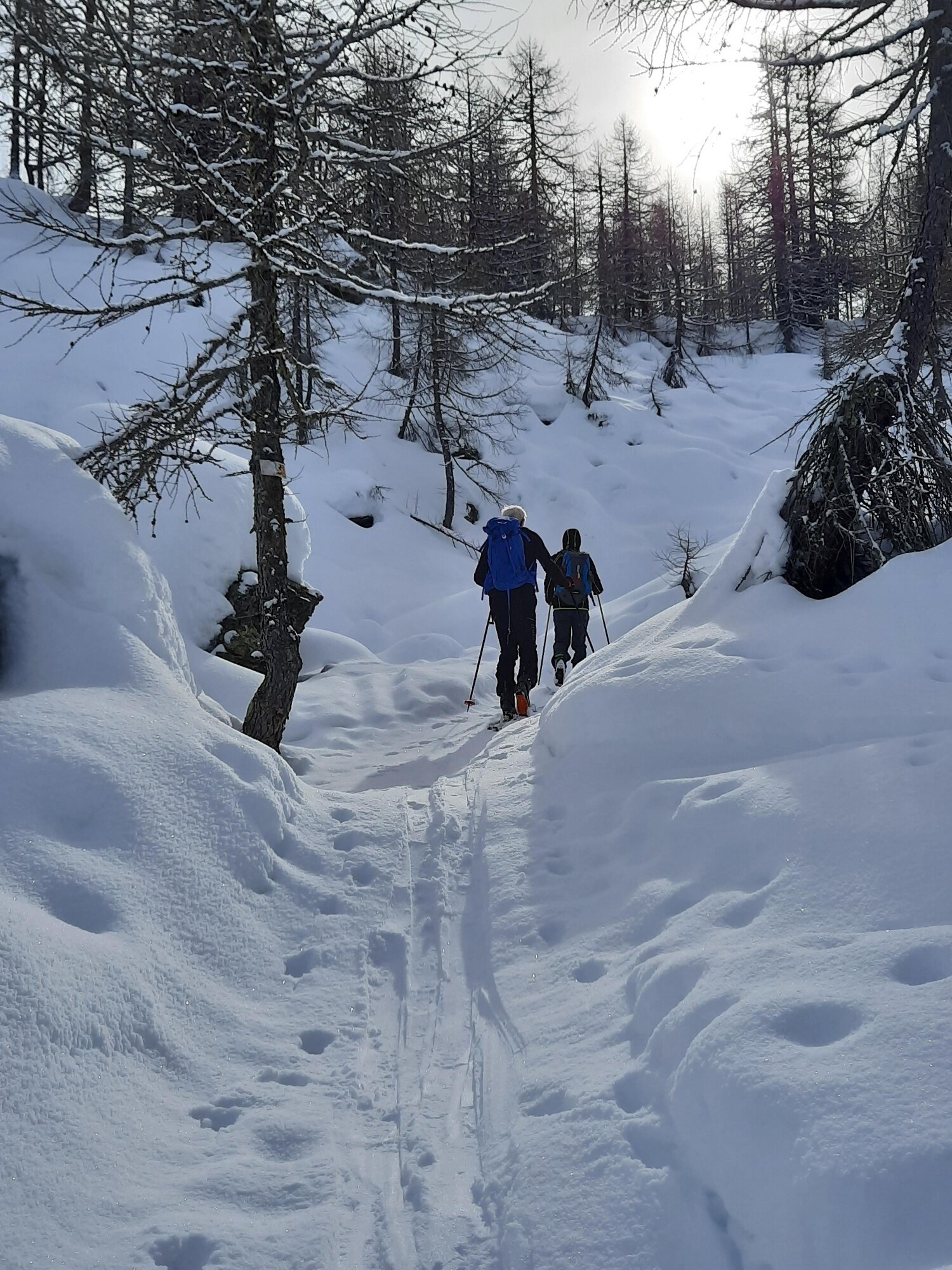 Img2 622237501 Default Variant