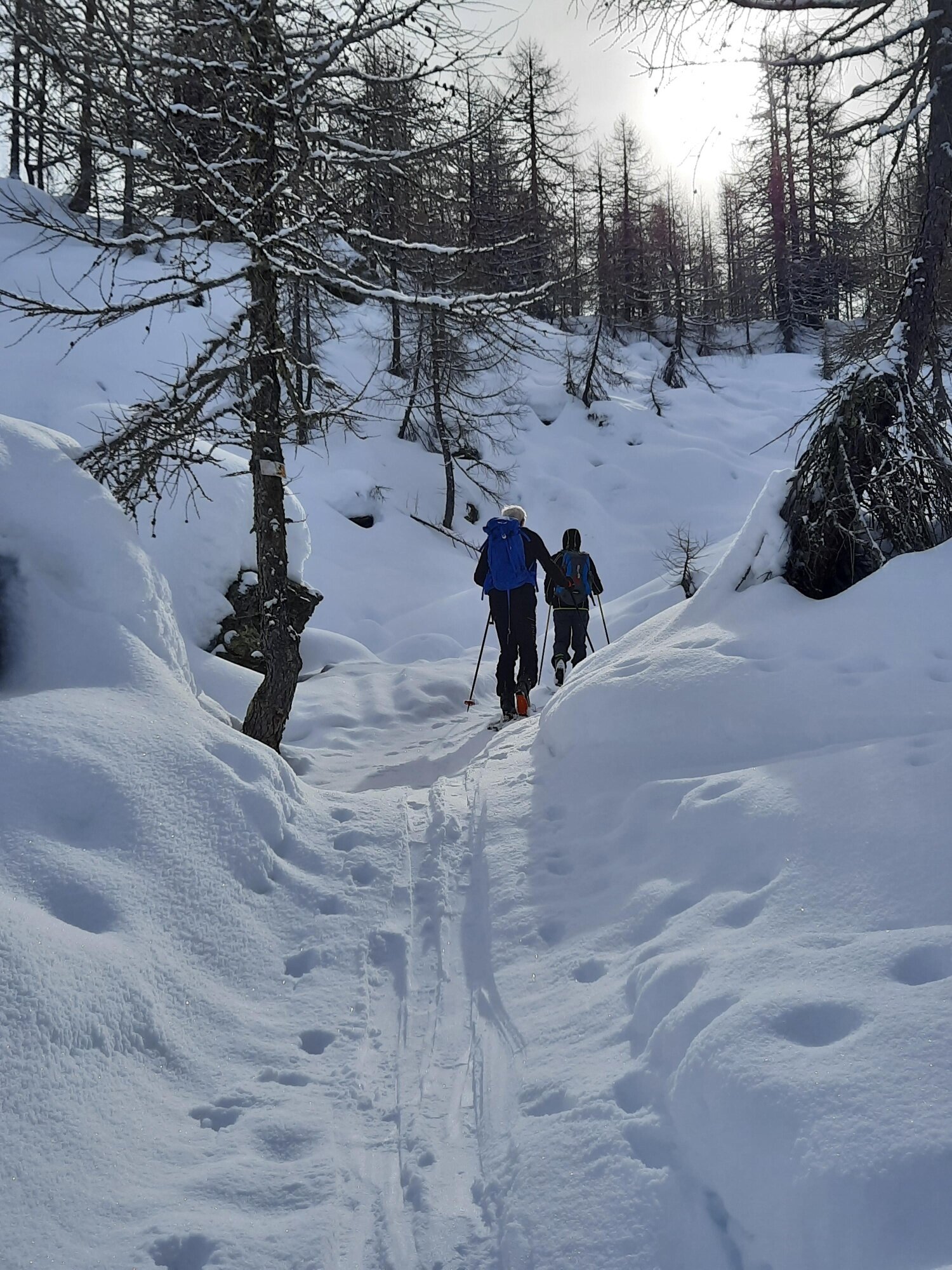 Img2 622237501 Default Variant