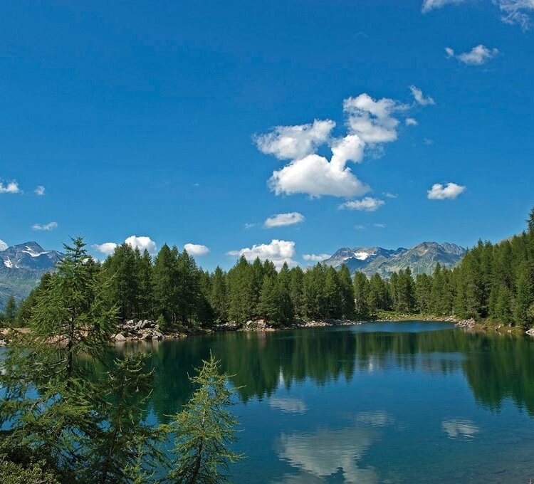 Giro ad anello Madesimo - Motta - Lago azzurro - Alpe Groppera - Alpe Pianello