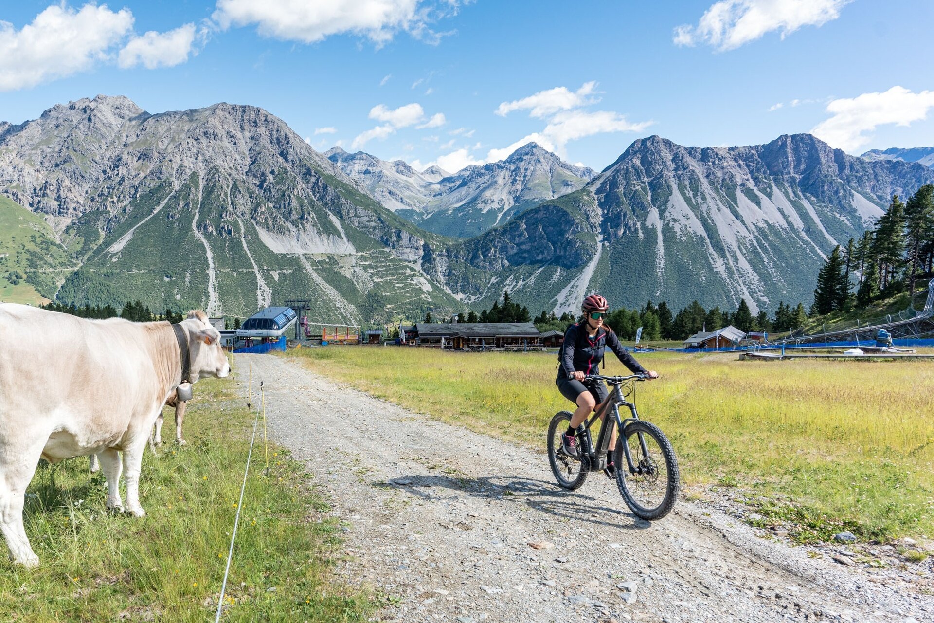 Img2 617192867 Default Variant