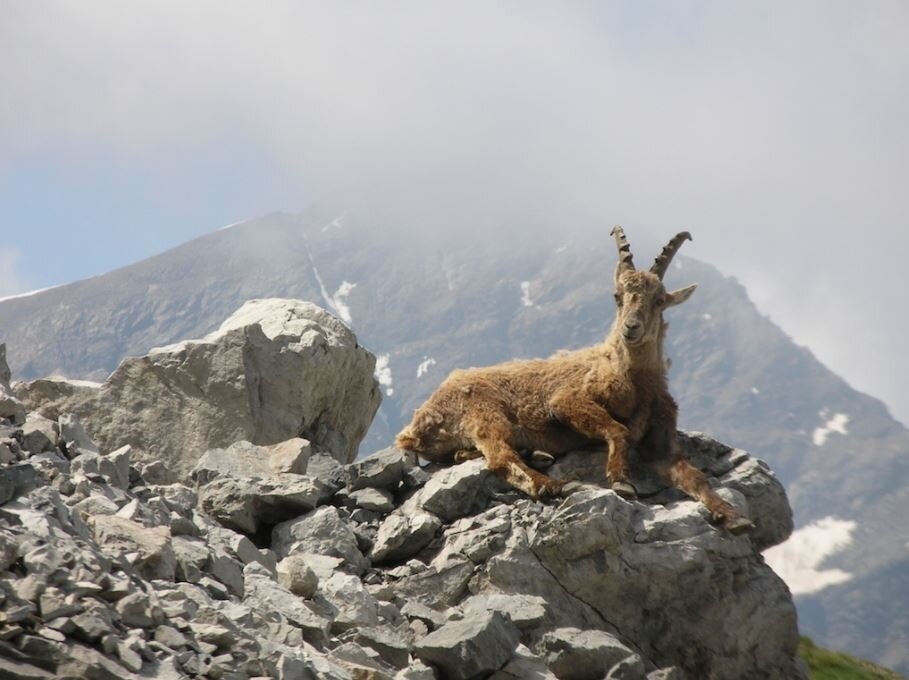 Tour of the Boundary