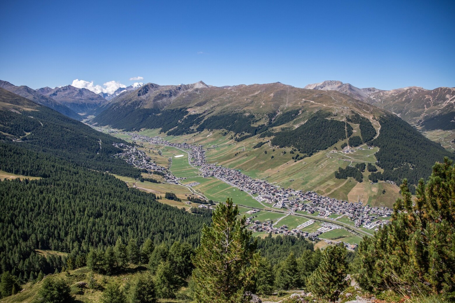 Img2 601276504 Default Variant