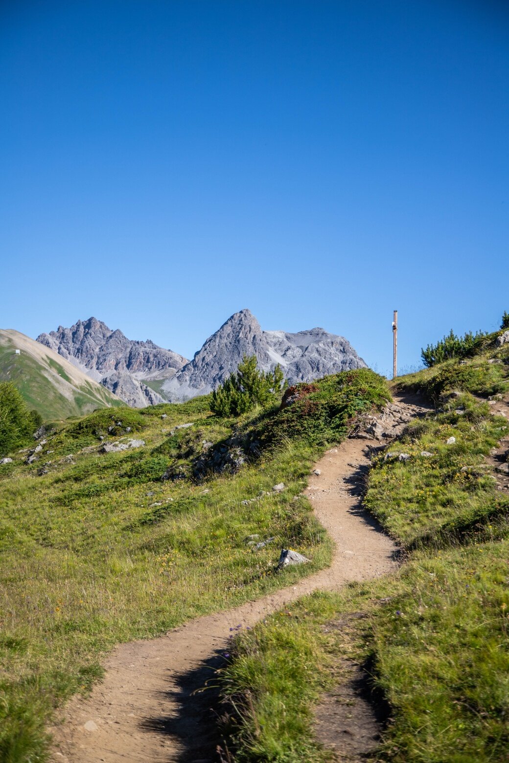 Img2 601276513 Default Variant